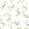 Meadow Floral Trail Wheatfield & Sage PR13303 by Seabrook Designs Designer Wallpaper