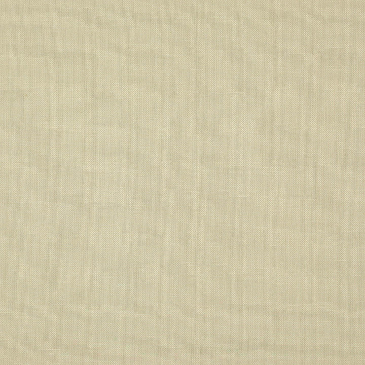 Prague 12J7511 by JF Designer Fabric Prague Book 100% Linen India 25000 Horizontal: and Vertical: 55 - Swanky Fabrics -