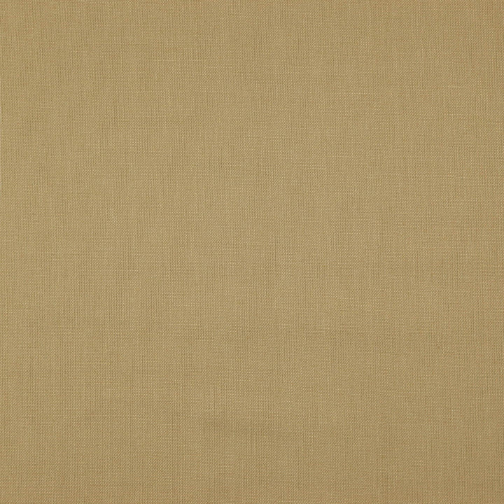 PRAGUE 14J7511 by JF Designer Fabric Prague Book 100% Linen India  Horizontal:  and Vertical:  55  - Swanky Fabrics -