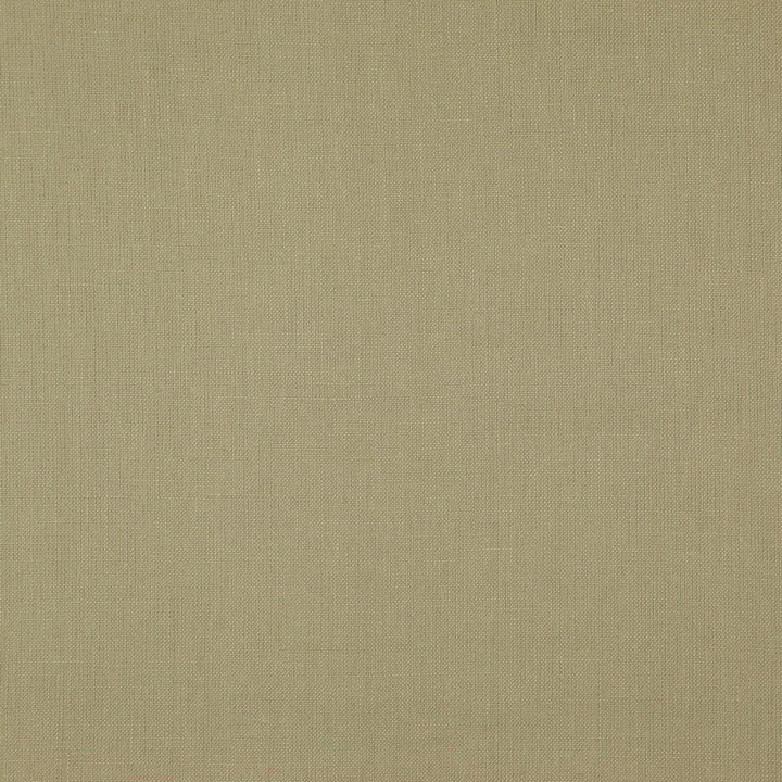 PRAGUE 34J7511 by JF Designer Fabric Prague Book 100% Linen India  Horizontal:  and Vertical:  55  - Swanky Fabrics -
