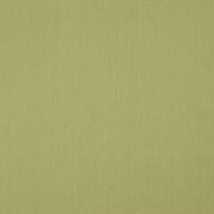 Prague 74J7511 by JF Designer Fabric Prague Book 100% Linen India 25000 Horizontal: and Vertical: 55 - Swanky Fabrics -