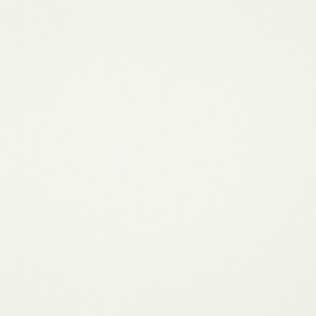 PRAGUE 91J7511 by JF Designer Fabric PRAGUE 100% Linen INDIA ABRASIO (GEERAL - 15,000-30,000, DOUBLE RUBS) Horizontal: N/A and Vertical: N/A 55.00 - Swanky Fabrics -