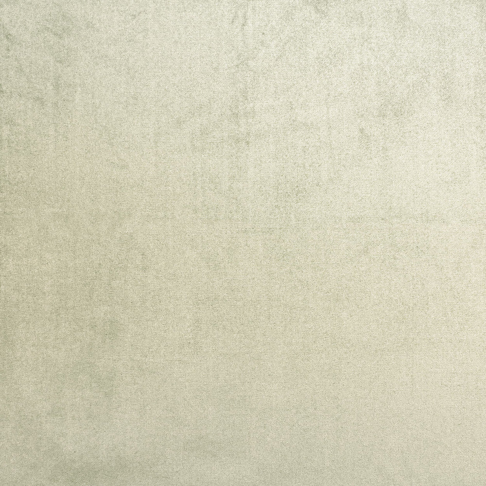 Premier 5 Mocha by Stout Fabric Stout Fabric Premier 5 MochaFabric MARCUS WILLIAM CURIOSITIES 100%POL TURKEY </p><p>Repeat: H: 0.000, V: 0.000 54 in - Fabric Carolina -