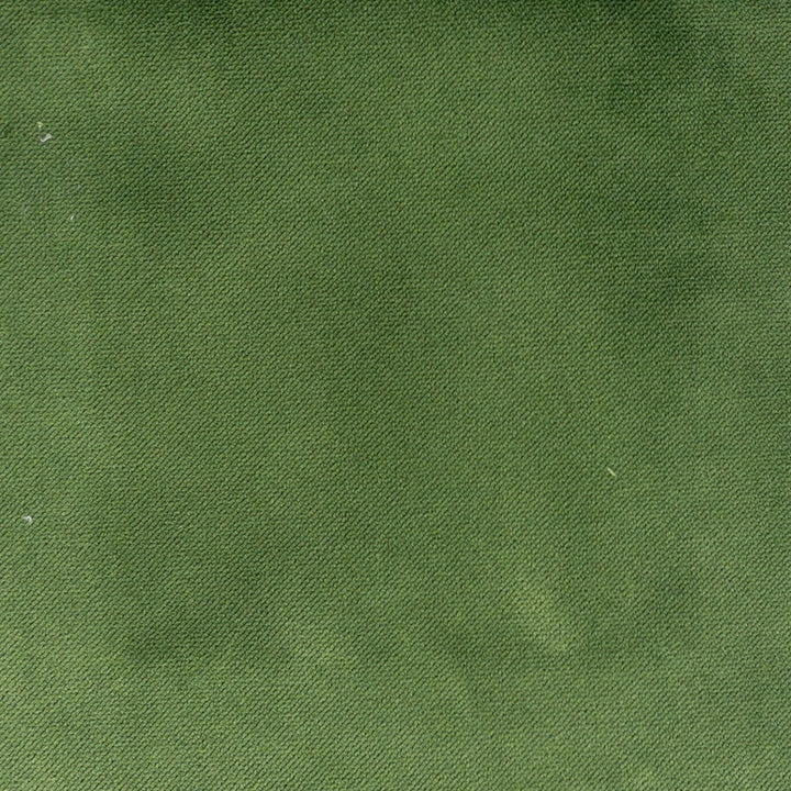 Premier 9 Grass by Stout Fabric Stout Fabric Premier 9 GrassFabric LIVING IS EASY SPRING/SPA 100%POL TURKEY </p><p>Repeat: H: 0.000, V: 0.000 54 in - Fabric Carolina -