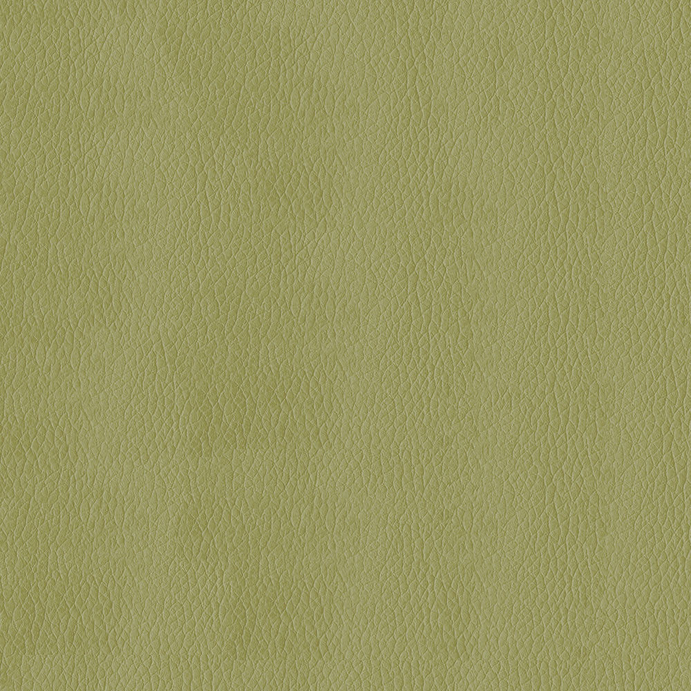Kendrick 21 Meadow by ABBEYSHEA Designer Fabric 100% Polyurethane (PU) China 500,000 Double Rubs (Wyzenbeek) </p><p>Repeat: Horizontal: and Vertical: 54" (137 cm) - Swanky Fabrics -