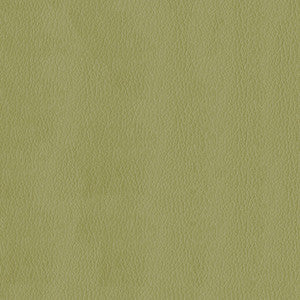 Kendrick 21 Meadow by ABBEYSHEA Designer Fabric