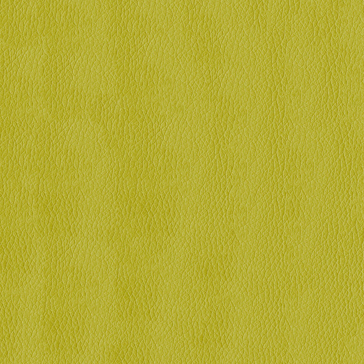 Kendrick 54 Citron by ABBEYSHEA Designer Fabric N/A 100% Polyester China 40,000 Double Rubs </p><p>Repeat: Horizontal: and Vertical: 54" (137 cm) - Swanky Fabrics -