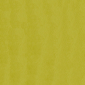 Kendrick 54 Citron by ABBEYSHEA Designer Fabric