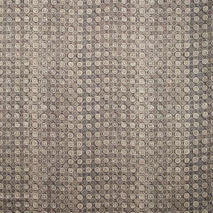 Procida Pewter by Kravet Couture Designer Fabric