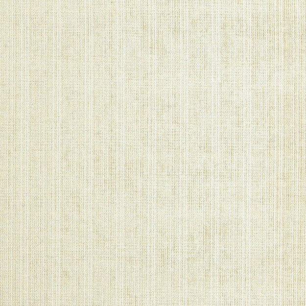 PROTECTOR 33J7081 by JF Designer Fabric WINNING WEAVES V 65% Polyester, 25% Cotton, 10% Viscose INDIA ABRASIO (HEAVY DUTY- 30,000+ DOUBLE RUBS) Horizontal: N/A and Vertical: N/A 54.00 - Swanky Fabrics -