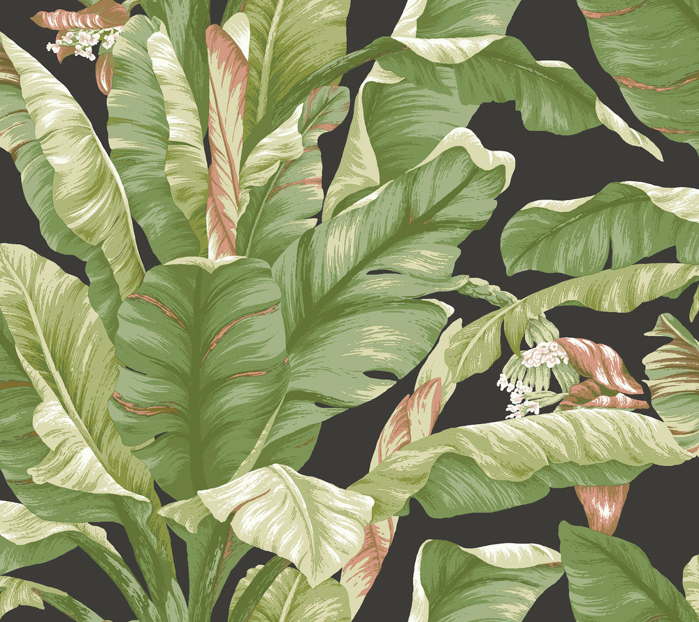 Banana Leaf Black & Green Peel & Stick Wallpaper by York Wallcoverings Designer York Premium Peel + Stick Covers about 45 square feet 27-in by 20-ft long roll Peel & Stick 25.25 - Swanky Fabrics -