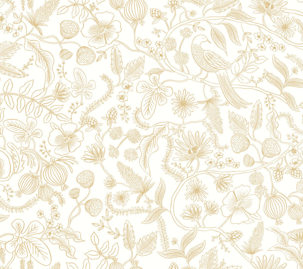 Aviary Off White & Gold Peel & Stick Wallpaper by Rifle Paper Co. Designer Rifle Paper Co. Premium Peel & Stick Covers about 45 square feet 27-in by 20-ft long roll Peel & Stick 24 - Swanky Fabrics -