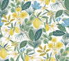 Amalfi Blue & Green Peel & Stick Wallpaper by Rifle Paper Co. Designer