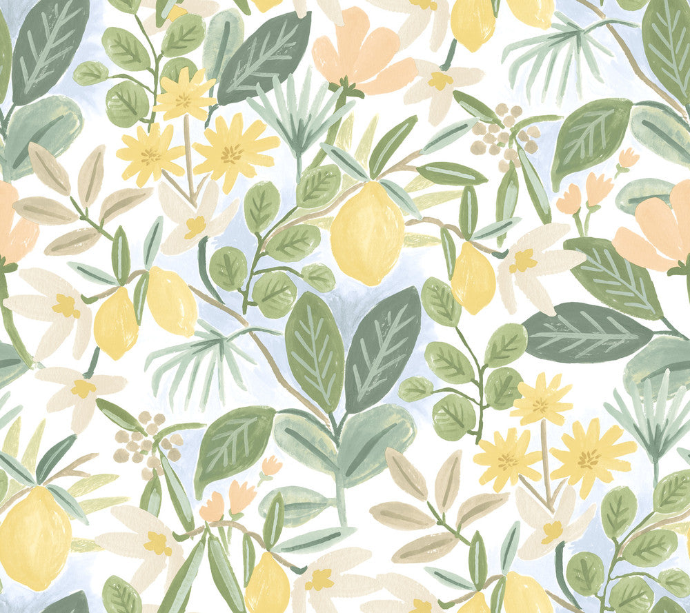 Amalfi Pink & Green Peel & Stick Wallpaper by Rifle Paper Co. Designer Rifle Paper Co. Premium Peel & Stick Covers about 45 square feet 27-in by 20-ft long roll Peel & Stick 24 - Swanky Fabrics -
