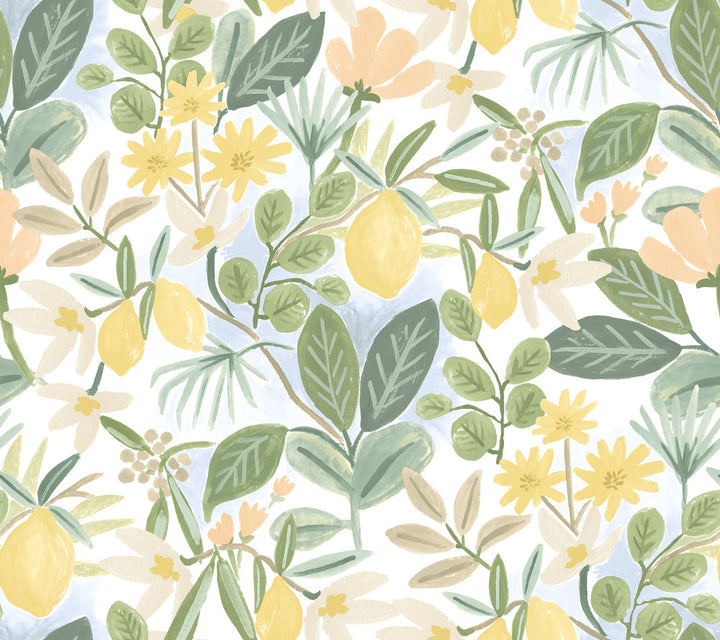 Amalfi Pink & Green Peel & Stick Wallpaper by Rifle Paper Co. Designer Rifle Paper Co. Premium Peel & Stick Covers about 45 square feet 27-in by 20-ft long roll Peel & Stick 24 - Swanky Fabrics -