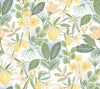 Amalfi Pink & Green Peel & Stick Wallpaper by Rifle Paper Co. Designer
