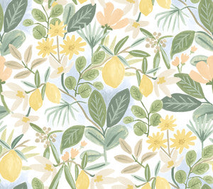 Amalfi Pink & Green Peel & Stick Wallpaper by Rifle Paper Co. Designer
