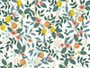 Citrus Grove White Peel & Stick Wallpaper by Rifle Paper Co. Designer