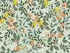 Citrus Grove Mint Peel & Stick Wallpaper by Rifle Paper Co. Designer