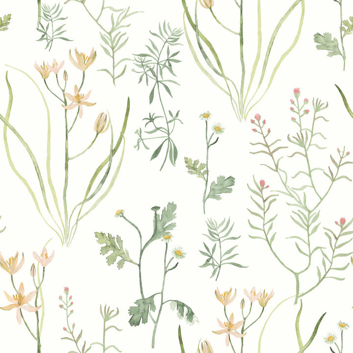 Alpine Botanical Peach Peel & Stick Wallpaper by York Wallcoverings Designer Watercolor Botanicals Covers about 34.2 square feet 20.5-in by 20-ft long roll Peel & Stick 20.5 - Swanky Fabrics -
