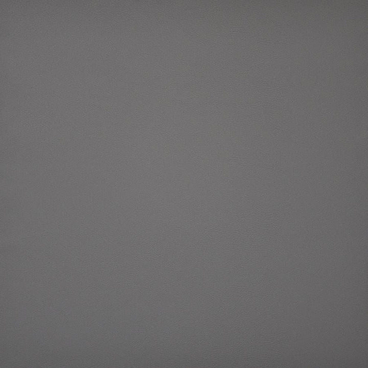 Pinto # 706 Flintstone by Maxwell Designer Fabric Easy Rider Iv 100% PVC CHINA 54" - Swanky Fabrics -
