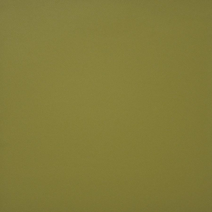 Pinto # 728 Spring by Maxwell Designer Fabric Easy Rider Iv 100% PVC CHINA 54" - Swanky Fabrics -