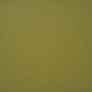 Pinto # 728 Spring by Maxwell Designer Fabric