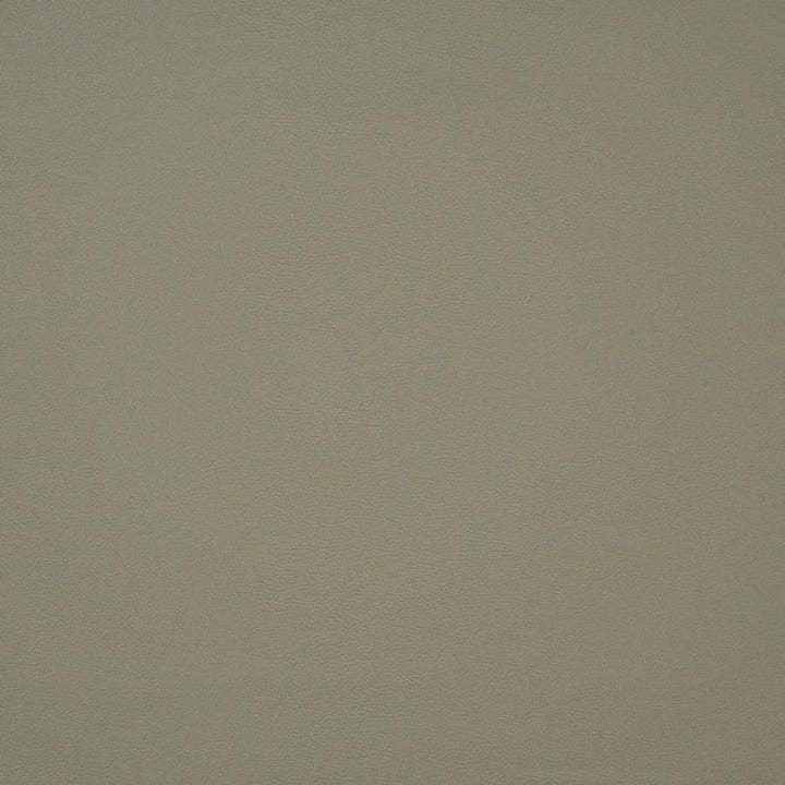Pinto # 733 Bone by Maxwell Designer Fabric Easy Rider Iv 100% PVC CHINA 54" - Swanky Fabrics -