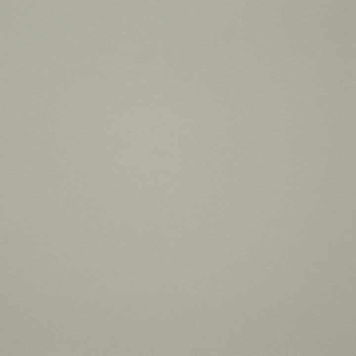Pinto # 736 Ivory by Maxwell Designer Fabric Easy Rider Iv 100% PVC CHINA 54" - Swanky Fabrics -