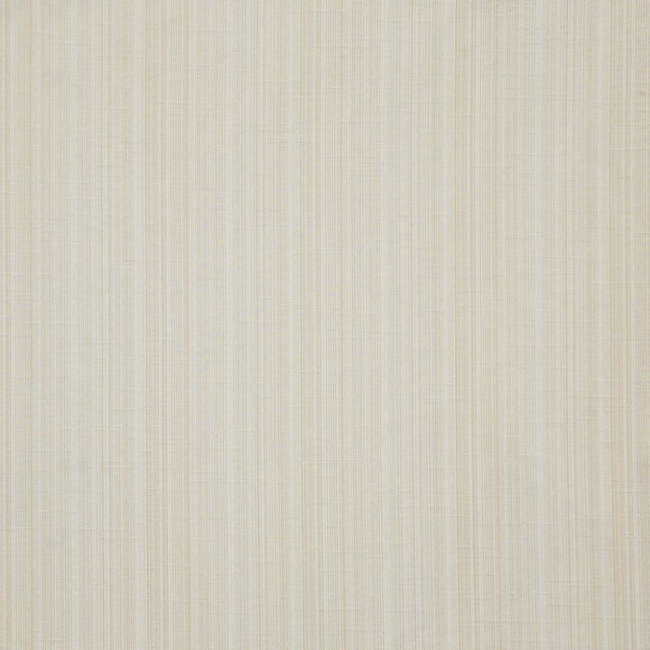 Palladio # 560 Biscuit by Maxwell Designer Fabric Pure & Simple Xii 100% POLYESTER INDIA 54" - Swanky Fabrics -