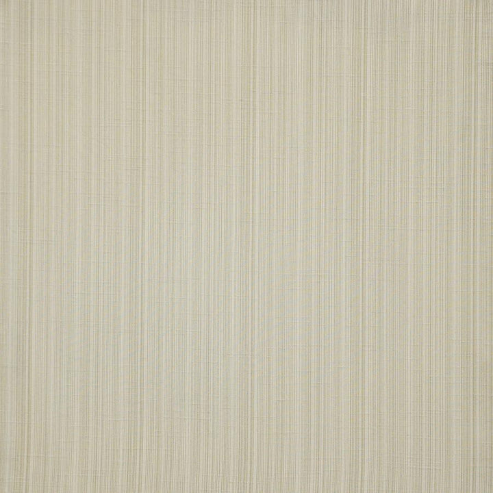 Palladio # 569 Truffle by Maxwell Designer Fabric Pure & Simple Xii 100% POLYESTER INDIA 54" - Swanky Fabrics -
