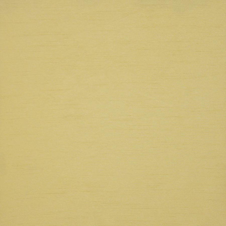 Prato # 541 Citrus by Maxwell Designer Fabric Pure & Simple Xii 100% POLYESTER INDIA 54" - Swanky Fabrics -