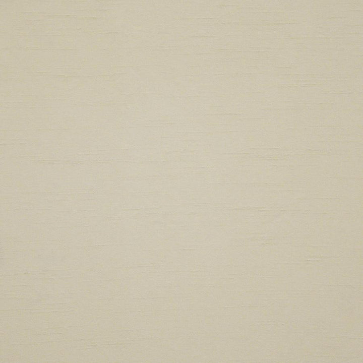 Prato # 559 Wafer by Maxwell Designer Fabric Pure & Simple Xii 100% POLYESTER INDIA 54" - Swanky Fabrics -