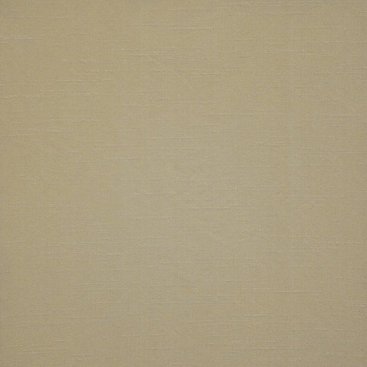 Prato # 570 Driftwood by Maxwell Designer Fabric Pure & Simple Xii 100% POLYESTER INDIA 54" - Swanky Fabrics -