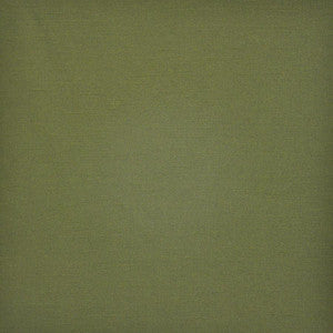 Prato # 582 Grass by Maxwell Designer Fabric
