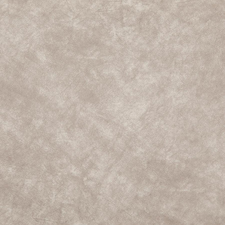 Plato # 16 Natural by Maxwell Designer Fabric Curled Up Vi 100% POLYESTER CHINA 55.5" - Swanky Fabrics -