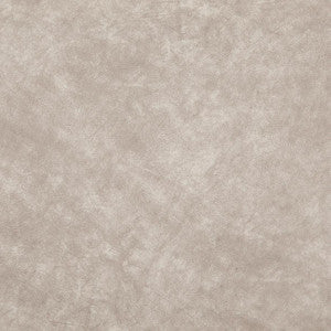 Plato # 16 Natural by Maxwell Designer Fabric