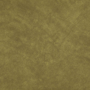 Plato # 34 Lizard* by Maxwell Designer Fabric
