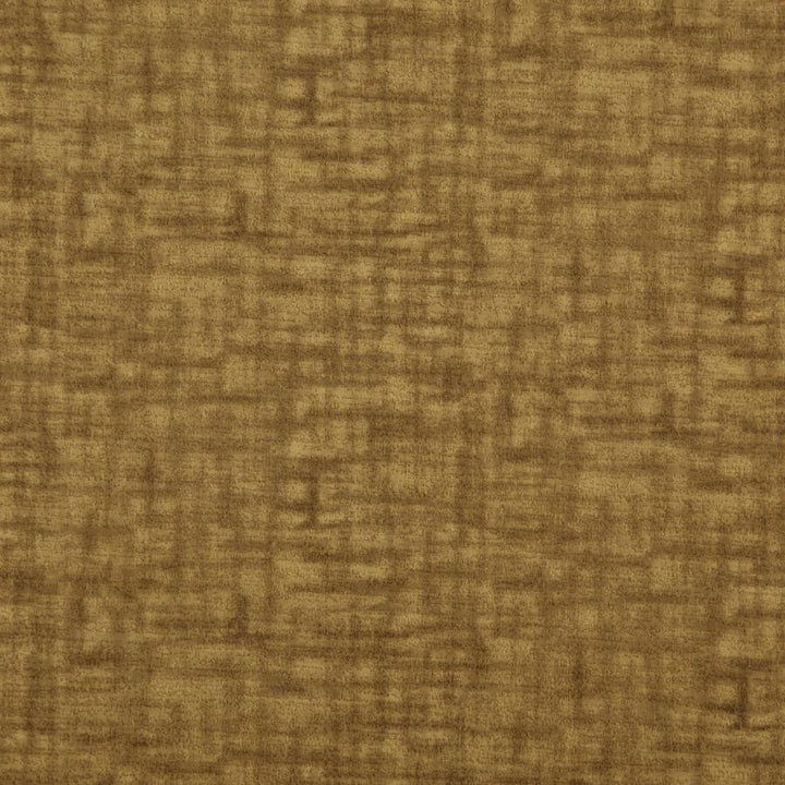Prometheus # 36 Gold by Maxwell Designer Fabric Curled Up Vi 100% POLYESTER CHINA 54" - Swanky Fabrics -