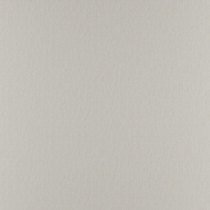 Phobos # 306 Egret by Maxwell Designer Fabric Performance Textures 100% POLYESTER CHINA 55" - Swanky Fabrics -