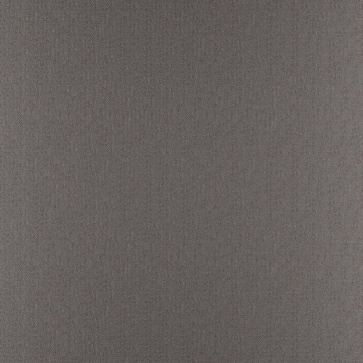 Phobos # 311 Basalt by Maxwell Designer Fabric Performance Textures 100% POLYESTER CHINA 55" - Swanky Fabrics -