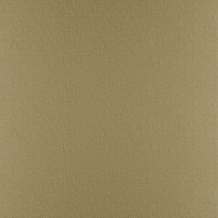 Phobos # 315 Cane by Maxwell Designer Fabric Performance Textures 100% POLYESTER CHINA 55" - Swanky Fabrics -