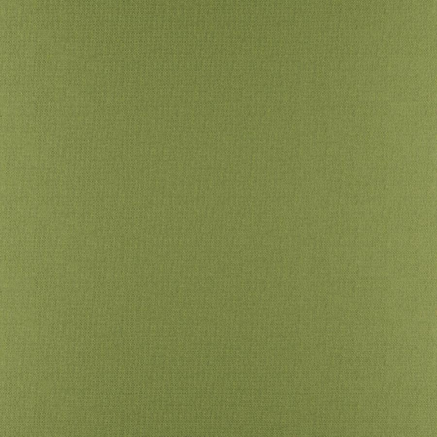 Phobos # 317 Palm by Maxwell Designer Fabric Performance Textures 100% POLYESTER CHINA 55" - Swanky Fabrics -