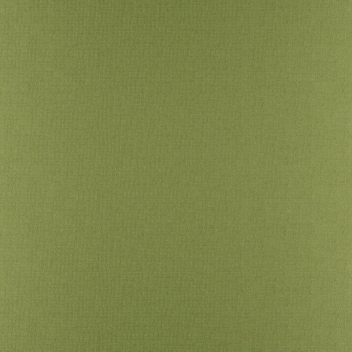 Phobos # 317 Palm by Maxwell Designer Fabric Performance Textures 100% POLYESTER CHINA 55" - Swanky Fabrics -