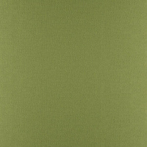 Phobos # 317 Palm by Maxwell Designer Fabric
