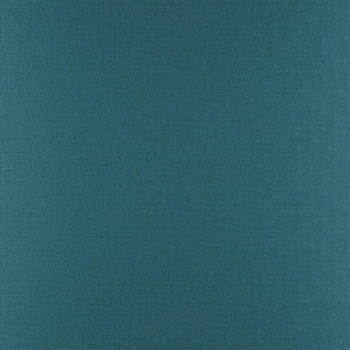 Phobos # 321 Dragonfly by Maxwell Designer Fabric Performance Textures 100% POLYESTER CHINA 55" - Swanky Fabrics -