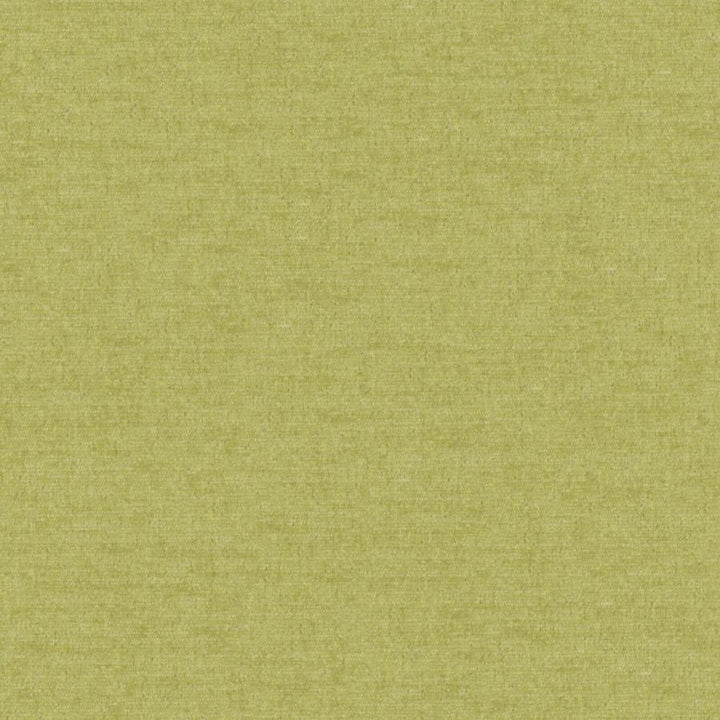 Pintura # 809 Thyme by Maxwell Designer Fabric Curled Up Viii 100% POLYESTER CHINA 55" - Swanky Fabrics -