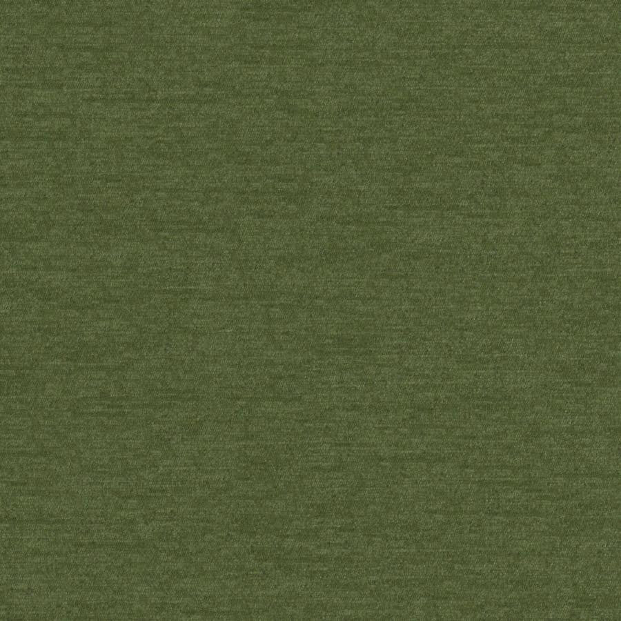 Pintura # 816 Kelp by Maxwell Designer Fabric Curled Up Viii 100% POLYESTER CHINA 55" - Swanky Fabrics -