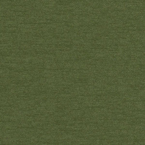 Pintura # 816 Kelp by Maxwell Designer Fabric