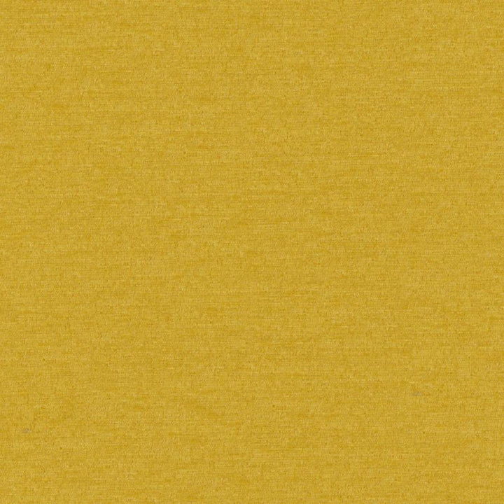 Pintura # 902 Gold by Maxwell Designer Fabric Curled Up Viii 100% POLYESTER CHINA 55" - Swanky Fabrics -